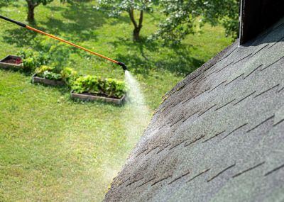 Roof Cleaning and Maintenance