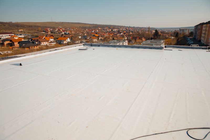 Roofing Inspection